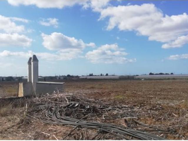 FINCA RUSTICA PARA SIEMBRA