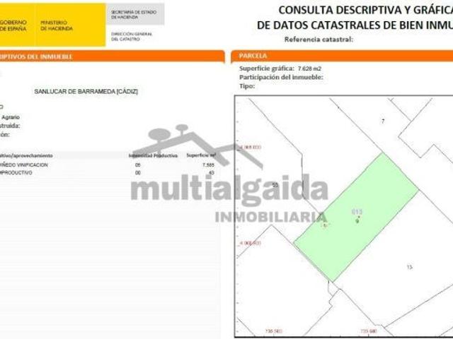 FINCA RÚSTICA PROINDIVISA EN CTRA MUNIVE