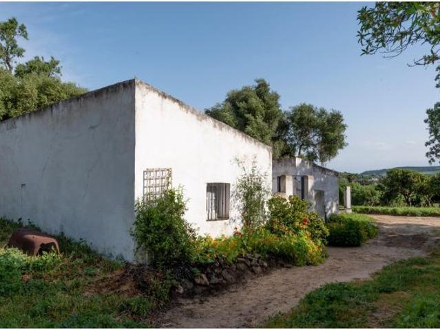 Finca rústica SEGREGADA en San Ambrosio con casa registrada, luz y agua