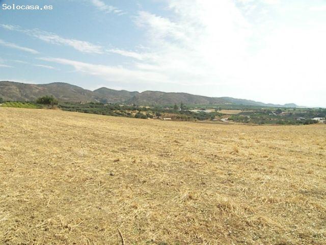 Finca rústica ubicada en la Alquería