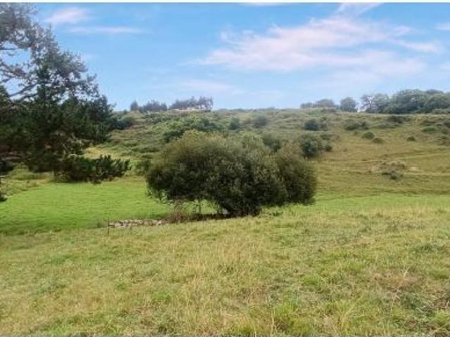 FINCA RÚSTICA URBANIZABLE EN HINOJEDO SUANCES