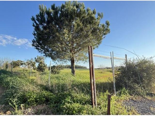 FINCA RÚSTICA USO AGRARIO EN GIBRALEÓN HUELVA