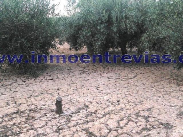 Finca Rústica Venta Murcia