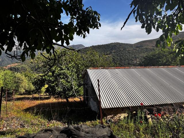 Finca Rústica Venta Málaga