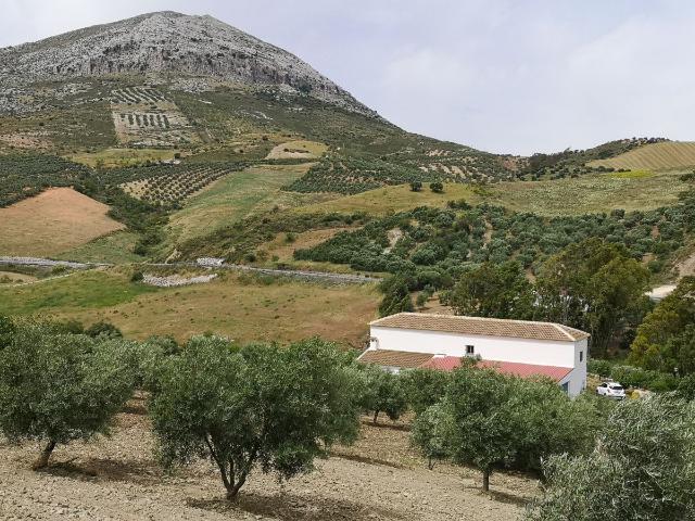 Finca Rústica Venta Málaga