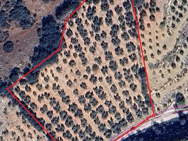 Finca Rústica Venta Málaga