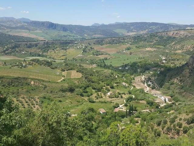 Finca Rústica Venta Málaga