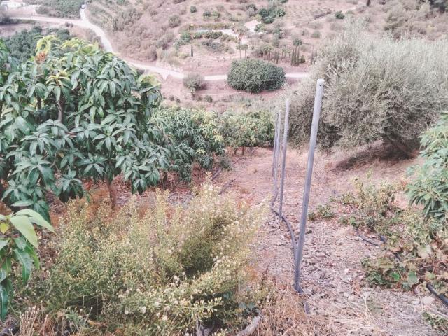 Finca Rústica Venta Málaga