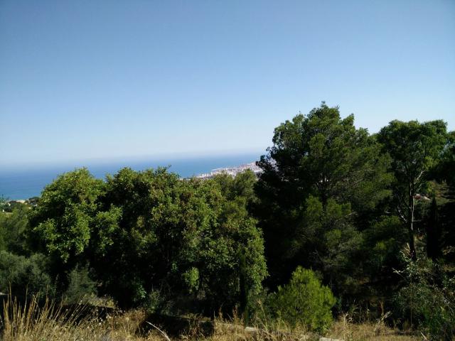 Finca Rústica Venta Málaga
