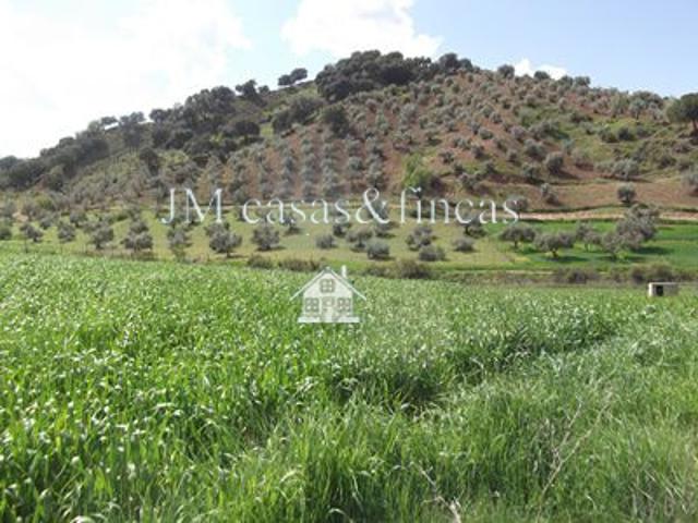 Finca Rústica Venta Málaga