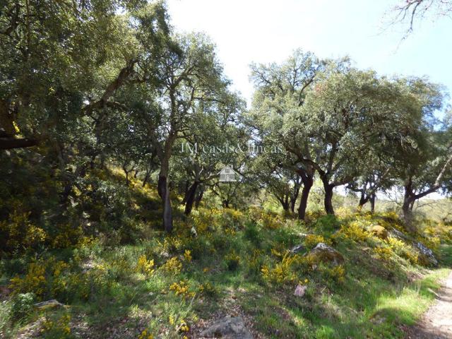 Finca Rústica Venta Málaga