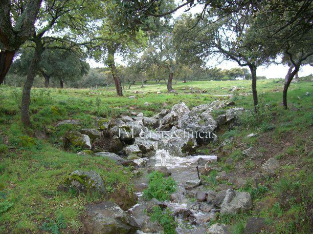 Finca Rústica Venta Málaga