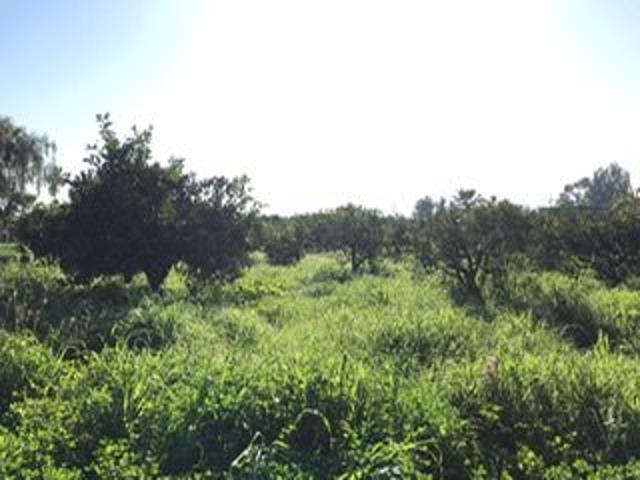 Finca Rústica Venta Málaga