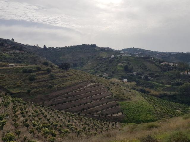 Finca Rústica Venta Málaga