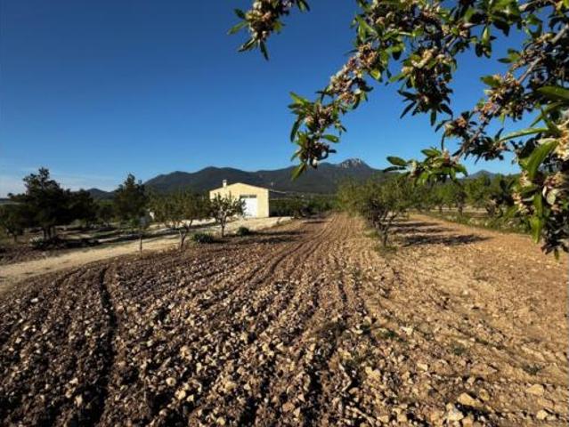 Finca rústica Venta Moratalla, Moratalla