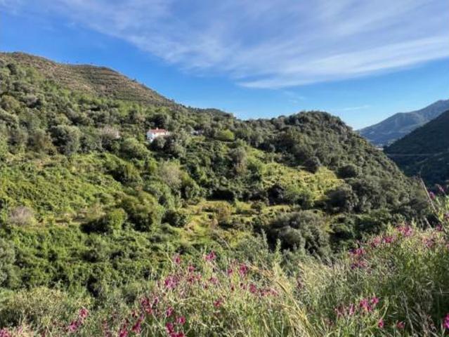 Finca rústica Venta Ojén, Ojén