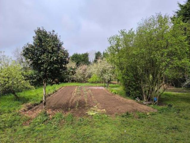 Finca rústica Venta A Pastoriza, Baltar