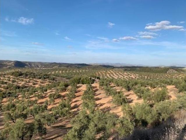 Finca rústica Venta Alameda, Alameda