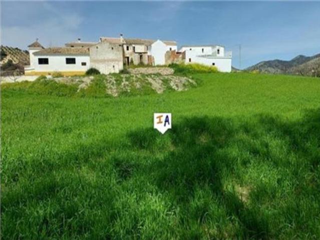 Finca rústica Venta Algarinejo, Algarinejo