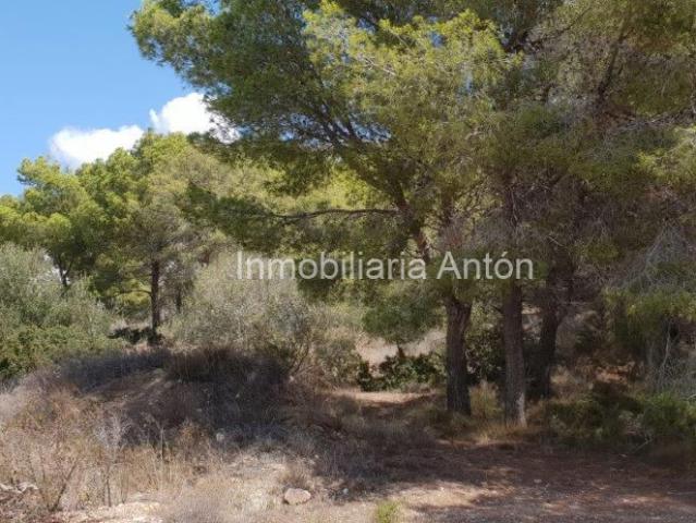 Finca Rústica Venta Alicante