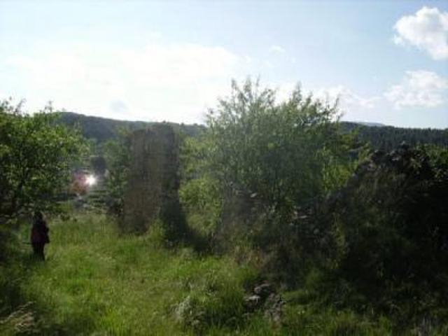 Finca Rústica Venta Alicante