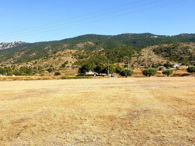 Finca Rústica Venta Alicante