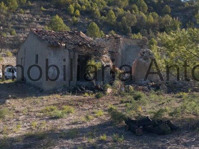 Finca Rústica Venta Alicante