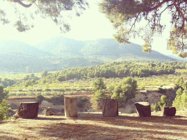 Finca Rústica Venta Alicante