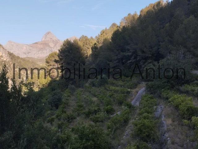 Finca Rústica Venta Alicante