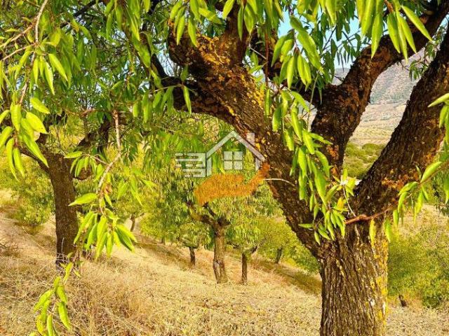 Finca Rústica Venta Almería