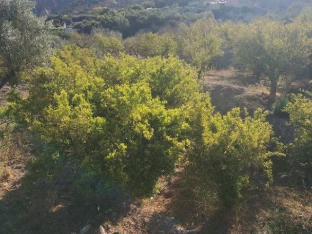 Finca Rústica Venta Almería