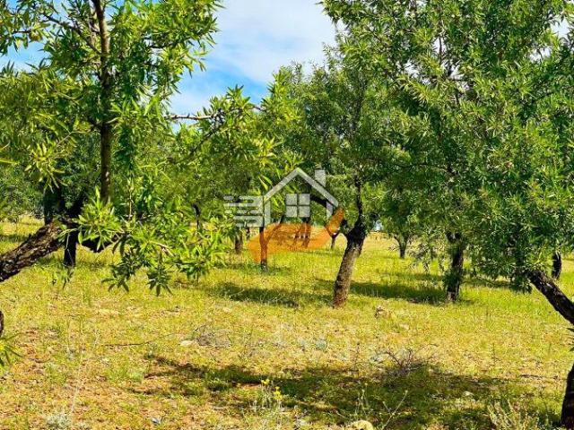 Finca Rústica Venta Almería
