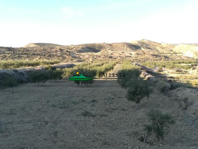 Finca Rústica Venta Almería