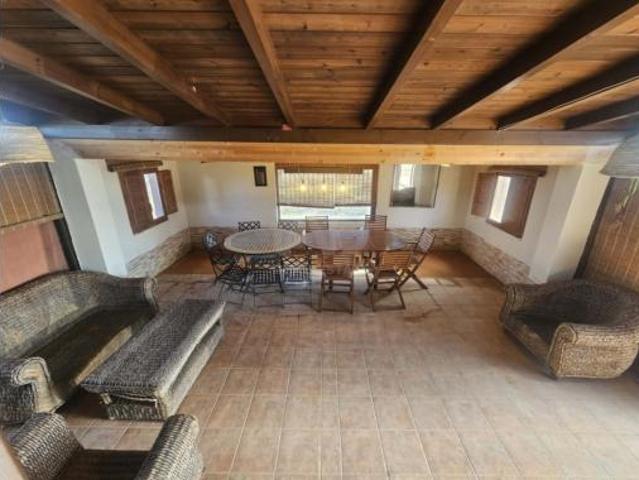 Finca rústica Venta Amposta, Poble Nou del Delta Eucaliptus