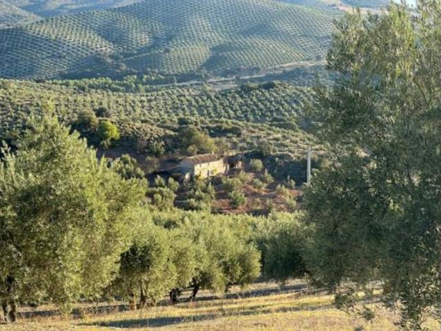 Finca rústica Venta Benalúa de las Villas, Benalúa de las Villas