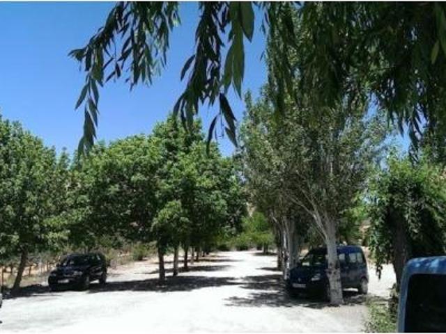 Finca rústica Venta Benalúa de las Villas, Benalúa de las Villas