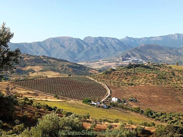 Finca Rústica Venta Cádiz