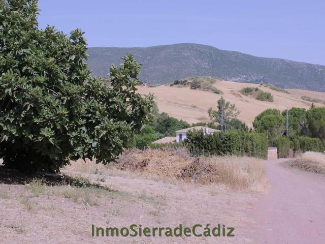 Finca Rústica Venta Cádiz