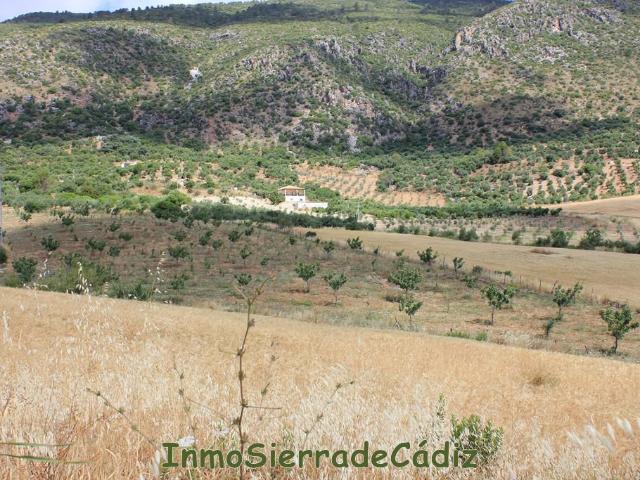 Finca Rústica Venta Cádiz
