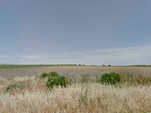 Finca Rústica Venta Cádiz