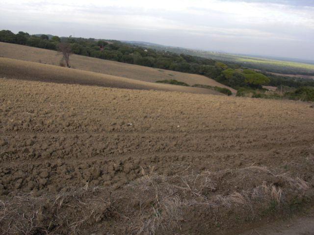 Finca Rústica Venta Cádiz