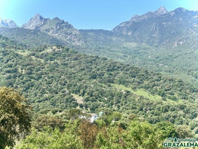 Finca Rústica Venta Cádiz