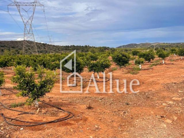 Finca Rústica Venta Castellón