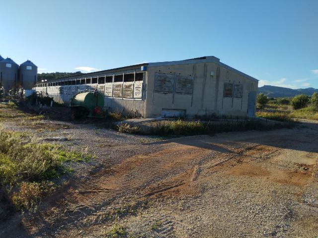 Finca Rústica Venta Castellón
