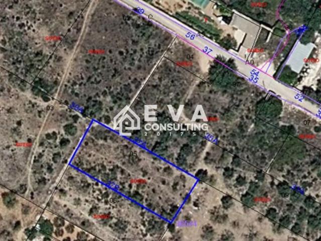 Finca Rústica Venta Castellón