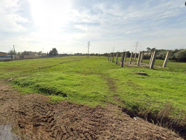 Finca Rústica Venta Castellón