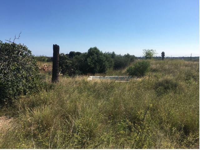 Finca Rústica Venta Castellón