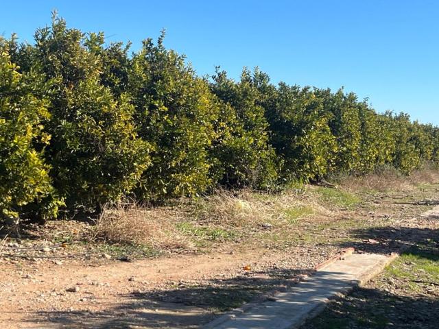 Finca Rústica Venta Castellón