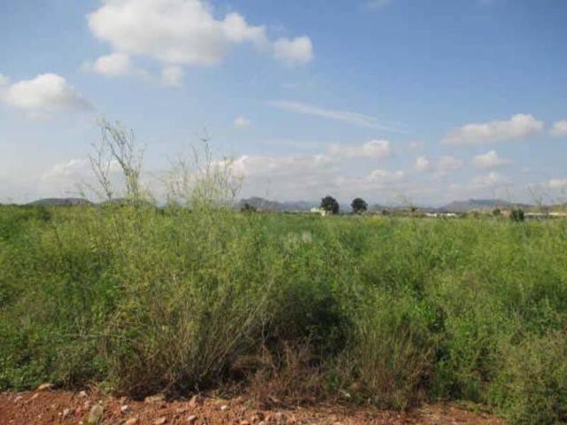 Finca Rústica Venta Castellón
