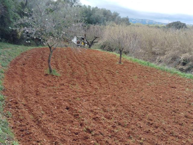 Finca Rústica Venta Castellón